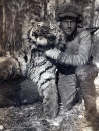 юрий янковский полвека охоты на тигров
